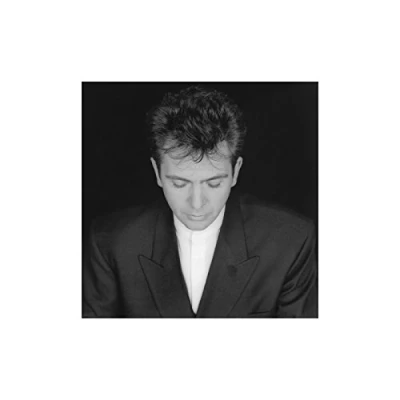 Afbeelding van Peter Gabriel Shaking The Tree 16 Golden Greats (CD)