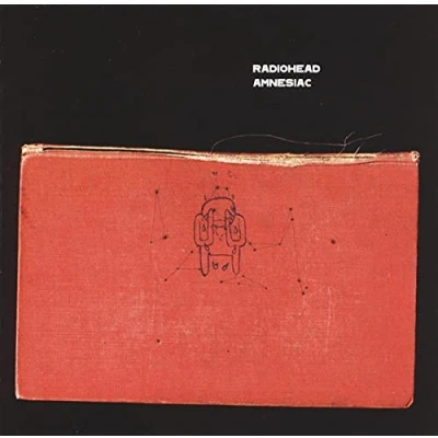 Afbeelding van Radiohead Amnesiac (2 LPs)