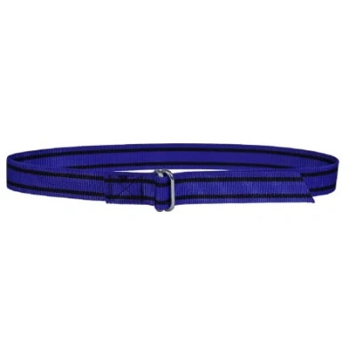 Afbeelding van Halsband nylon blauw met knelgesp 130 cm