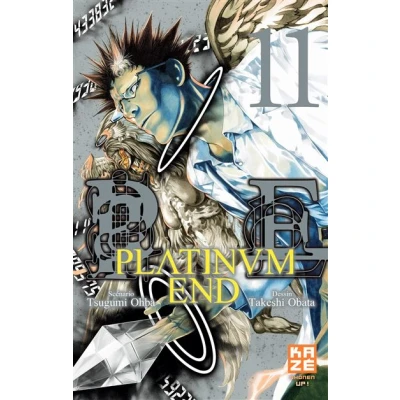 Image de Platinum End T11