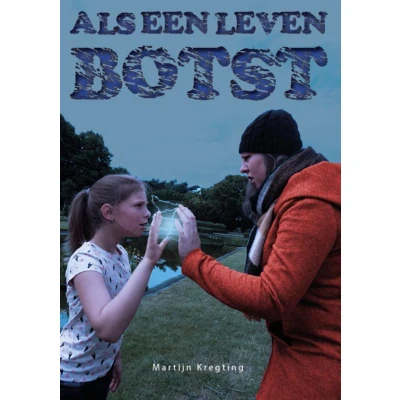 Afbeelding van Als een leven botst
