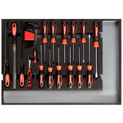 Image de GEDORE RED R22350002 jeu de tournevis et limes en module CT 26 pièces 3301683