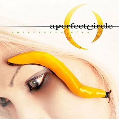 Afbeelding van A Perfect Circle Thirteenth Step (CD)