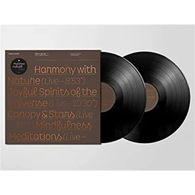 Afbeelding van Matthew Halsall Salute To the Sun Live At Halle St. Peter&#039;s (2 LPs)