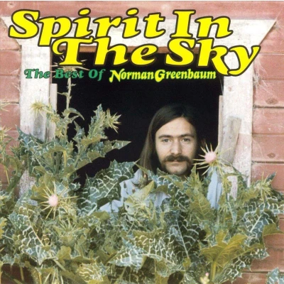 Afbeelding van Spirit In The Sky