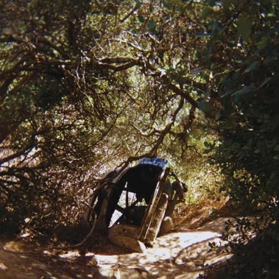 Afbeelding van Ty Segall Possession (CD)