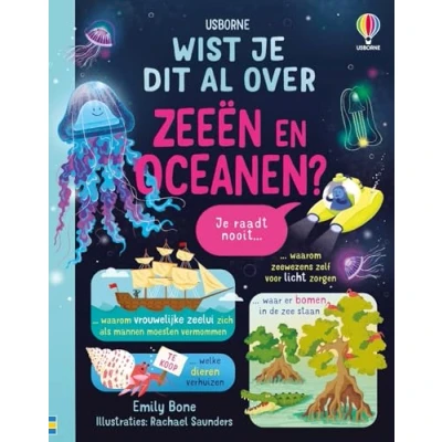 Afbeelding van Wist je dit al over zeeën en oceanen?
