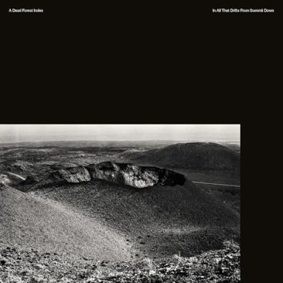 Afbeelding van A Dead Forest Index In All That Drifts From..