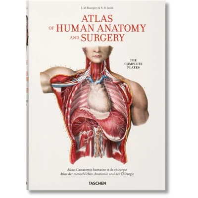 Image de Bourgery. Atlas of Human Anatomy and Surgery