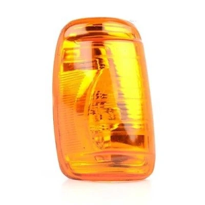 Afbeelding van BSG Knipperlicht 30 916 009