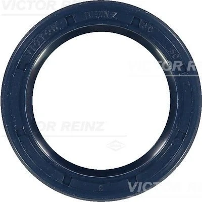 Afbeelding van Reinz Nokkenas keerring 81 26244 00