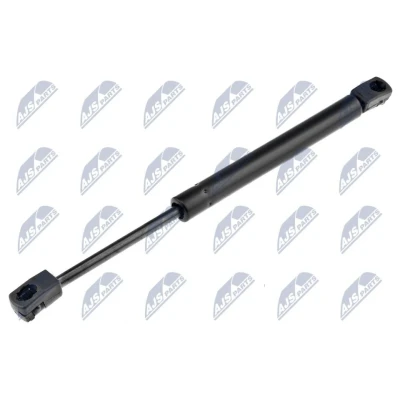 Afbeelding van NTY AE VV 005 Gasveer achterklep 600 291