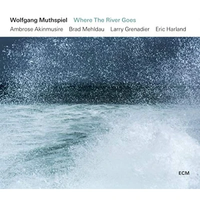 Afbeelding van Wolfgang Muthspiel Where The River Goes (CD)