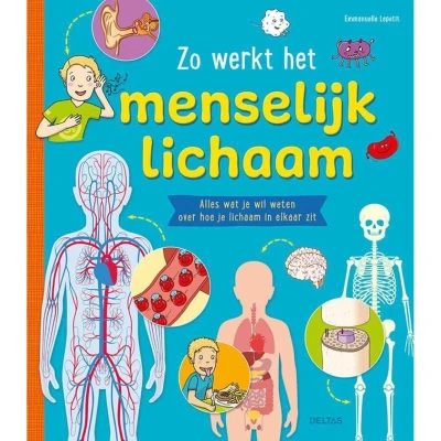 Afbeelding van Uitgeverij deltas zo werkt het menselijk lichaam