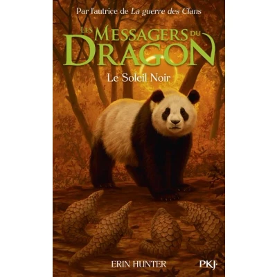 Image de Les Messagers du Dragon, Cycle 1 Tome 4 Le Soleil Noir