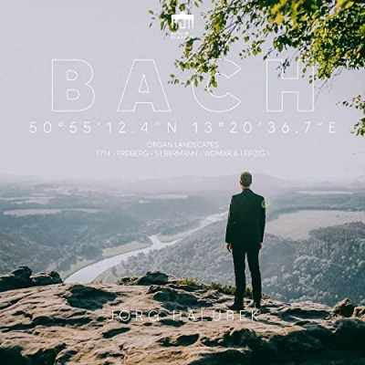 Afbeelding van Jörg Halubek J.S. Bach: Organ Landscapes: Freiberg (2 CD)