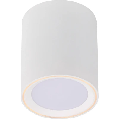 Afbeelding van NORDLUX Fallon Surface downlight White/White