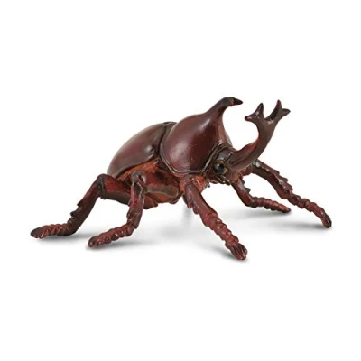 Afbeelding van COLLECTA Neushoornkever (M)
