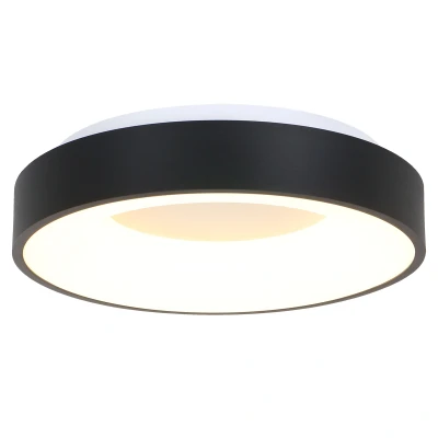 Afbeelding van Plafondlamp Steinhauer Ringlede Zwart