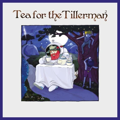 Afbeelding van Yusuf Islam (Cat Stevens) Tea For The Tillerman² (CD)