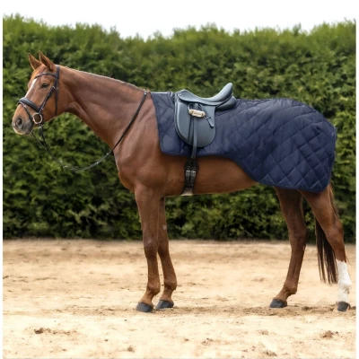Afbeelding van Waldhausen Uitrijdeken Exclusive Nightblue Full