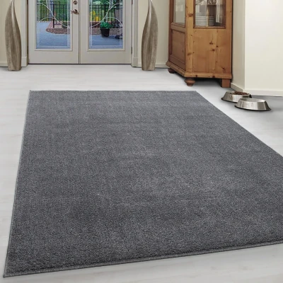 Afbeelding van Basics Effen Vloerkleed Lichtgrijs Laagpolig 140x200 cm