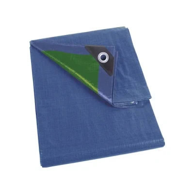 Afbeelding van Dekzeil blauw/groen standaard 5 x 8 m Velleman