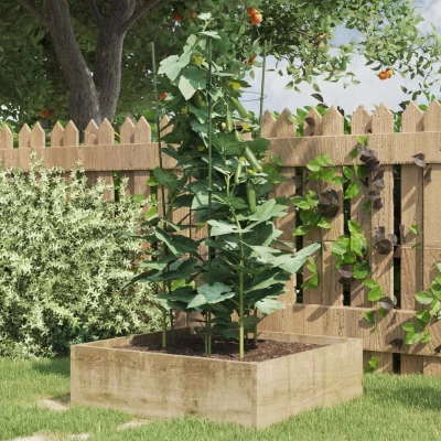 Afbeelding van Plantensteunen 5 st met 3 ringen 75 cm staal groen