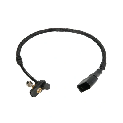 Afbeelding van Krukassensor DELPHI SS11339