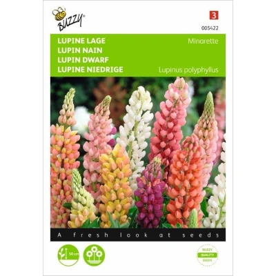 Afbeelding van Lupinus polyphyllus Russel s Minarette Gemengd Buzzy
