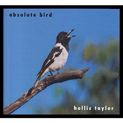 Afbeelding van Hollis Taylor Absolute Bird (CD)