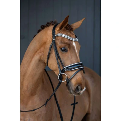 Afbeelding van HB Showtime It Is So Special Trenshoofdstel Cob Black Silver