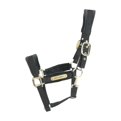Image de Kentucky Licol velours Noir Cob