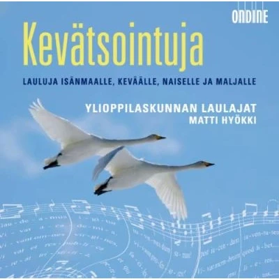 Afbeelding van Matti Hyokki Yl Male Voice Choir Kevatsointuja (Fi Only) *D* (CD)