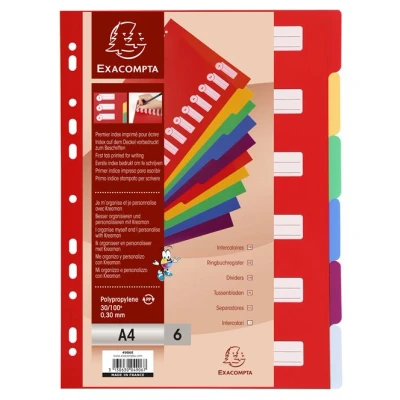 Image de EXACPTA INTERCA A4 PP 30/100 6 POSIT