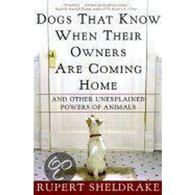 Afbeelding van Dogs That Know When Their Owners Are Coming Home