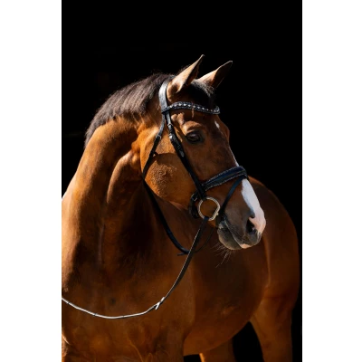Image de HB Bride Jump Rocky Paillettes/NoirVendu par Agradi