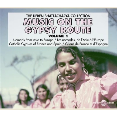 Afbeelding van Various Artists Music On The Gypsy Route Volume 1 (2 CD)