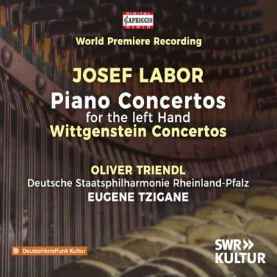 Afbeelding van Oliver Triendl, Deutsche Staatsphilharmonie Rheinland Pfalz, Eugene Tzigane Labor: Piano Concertos For The Left Hand (CD)