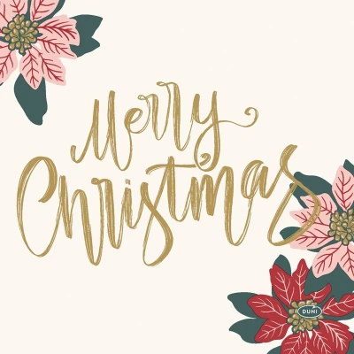 Afbeelding van Op zoek naar Servetten en tafeldecoratie? Bestel dan gemakkelijk Merry Xmas kerst Berries van bij Warentuin! Duni