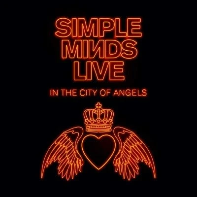 Afbeelding van Live In The City (4CD)