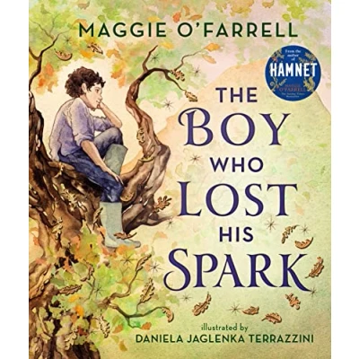 Afbeelding van The Boy Who Lost His Spark
