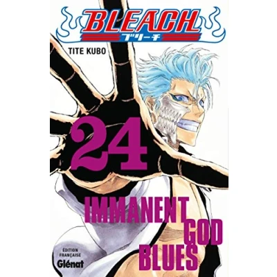 Afbeelding van BLEACH Tome 24