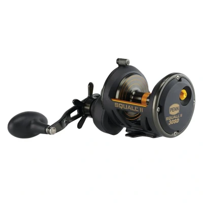 Afbeelding van Penn Squall® II Star Drag Zeevis Reel RH 30 SD