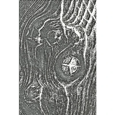 Afbeelding van Sizzix 3D Texture Fades by Tim Holtz Woodgrain (666297)