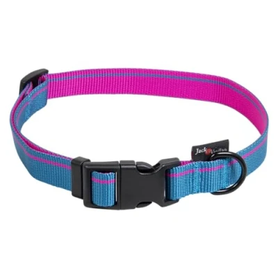 Afbeelding van Jack and Vanilla Hondenhalsband met kliksluiting Stripe Klikhalsband Nylon Blauw Grote maat XL 70 cm