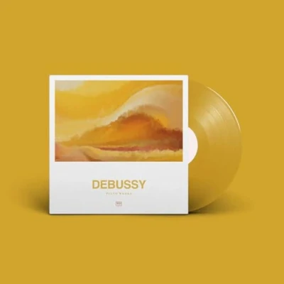 Afbeelding van Jean Yves Thibaudet Debussy: the Piano Works (LP)