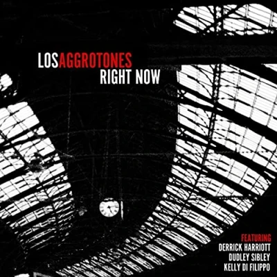 Afbeelding van Los Aggrotones Right Now (LP)