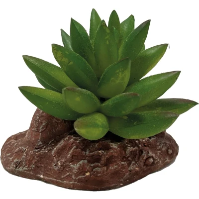 Afbeelding van Repto Plant Aloes Kunstplant Terrarium