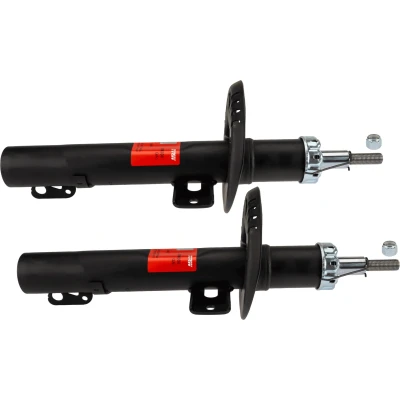 Afbeelding van Trw Schokdemper JGM306T